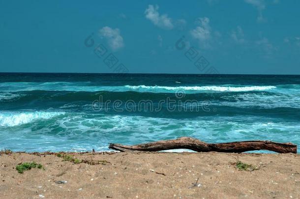 风景优美的看法关于沙海滩和蓝色海