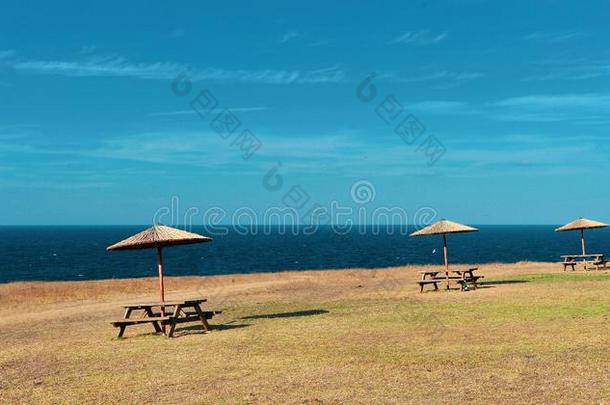 风景优美的看法关于沙海滩和蓝色海