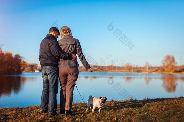 较高的对步行哈巴狗狗采用秋公园在旁边河.幸福的男人