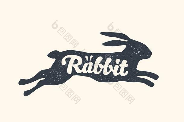 兔子,字体.设计关于农场动物-兔子