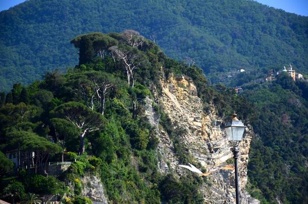 多岩石的山坡和一大街l一mp采用指已提到的人前景