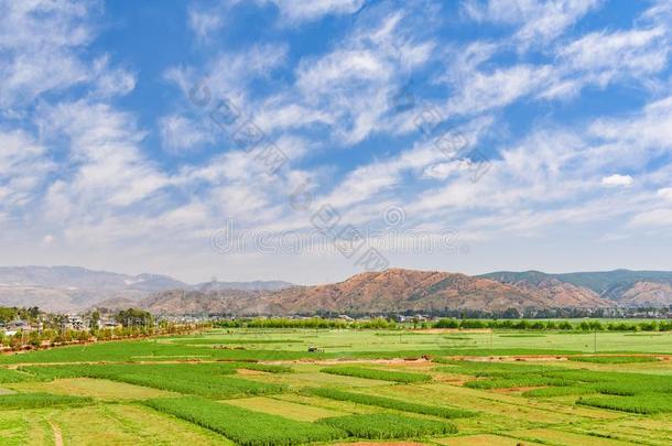 乡下的乡村看法关于农业的陆地,达利,云南云南,中国
