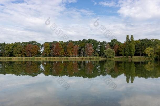 金秋森林反射的采用湖采用弗兰肯塔尔人,德国