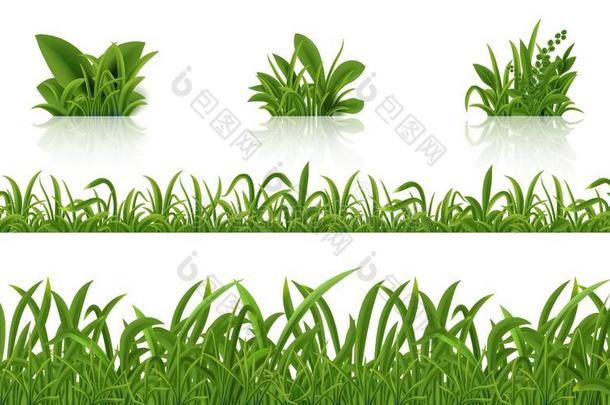 现实的绿色的草.3英语字母表中的第四个字母新鲜的春季植物放置.矢量伊斯拉特