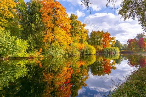 秋植物的叶子采用帕夫洛夫斯基公园,巴甫洛夫斯克,SaoTomePrincipe圣多美和普林西比.彼得斯堡,russet黄褐色的