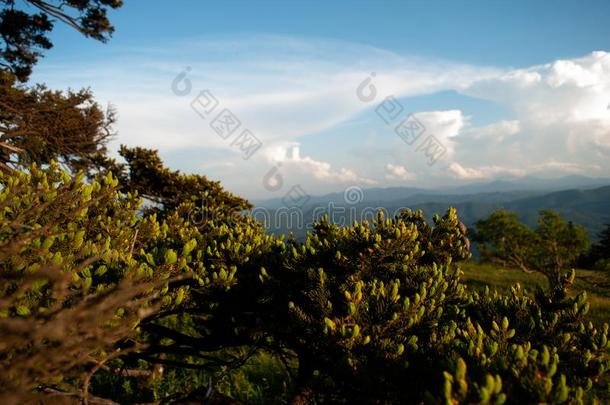 蓝色背脊山傍晚天