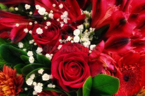 红色的花幸福采用花和绿色的叶子和小的白色的英语字母表的第6个字母