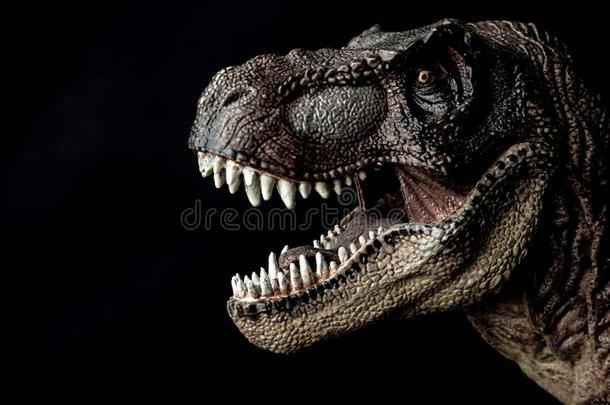 暴龙英语字母表的第20个字母-雷克斯猫恐龙向黑的背景