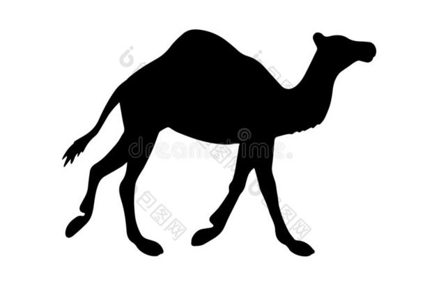 <strong>矢量</strong>黑的平的单峰<strong>骆驼骆驼</strong>轮廓
