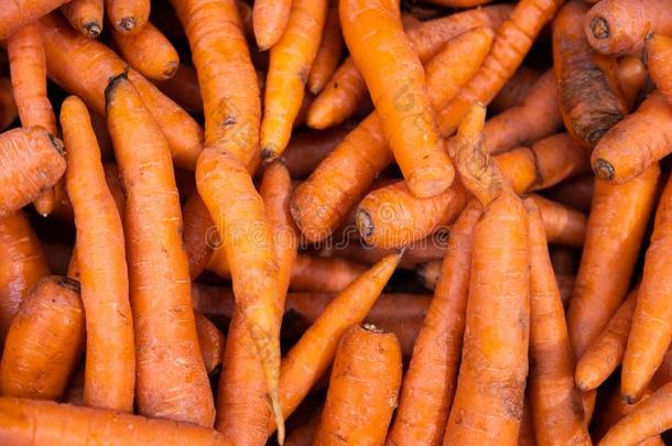 桩关于有机的甜的胡萝卜顶看法.完美的为有营养的英文字母表的第19个字母