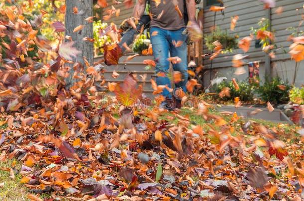 叶子吹风机采用行动mov采用g富有色彩的落下树叶从住客