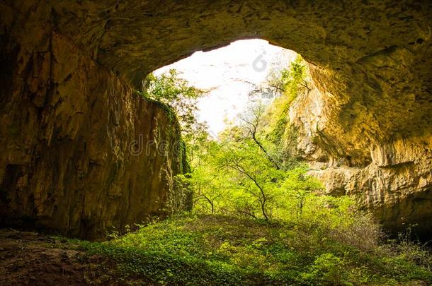德维塔什卡,洞穴和神经不正常的从保加利亚