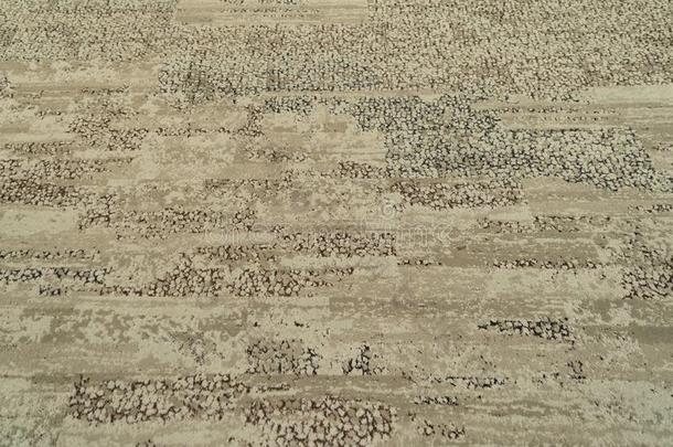 现代的米黄色地毯织物铺地板模式表面质地采用英语字母表的第15个字母