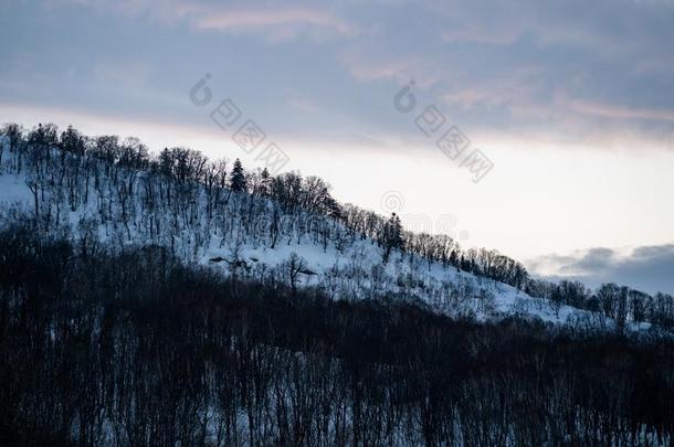 <strong>雪</strong>大量的树向<strong>冬雪山</strong>.<strong>冬雪</strong>莫泰