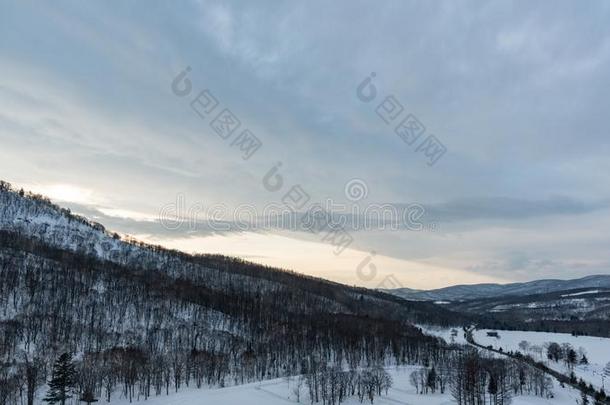 <strong>雪</strong>大量的树向<strong>冬雪山</strong>.<strong>冬雪</strong>莫泰