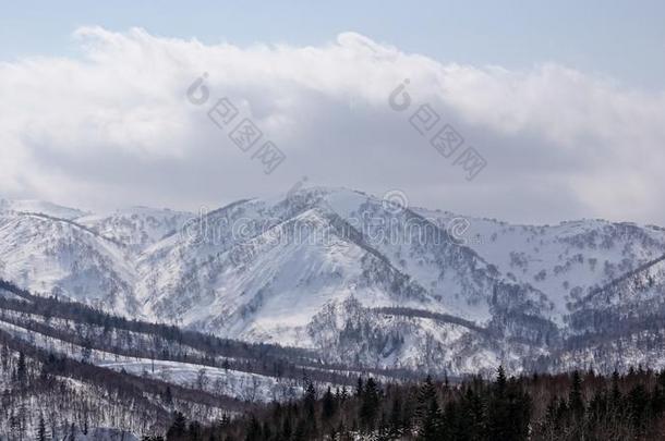 <strong>雪</strong>大量的树向<strong>冬雪山</strong>.<strong>冬雪</strong>莫泰