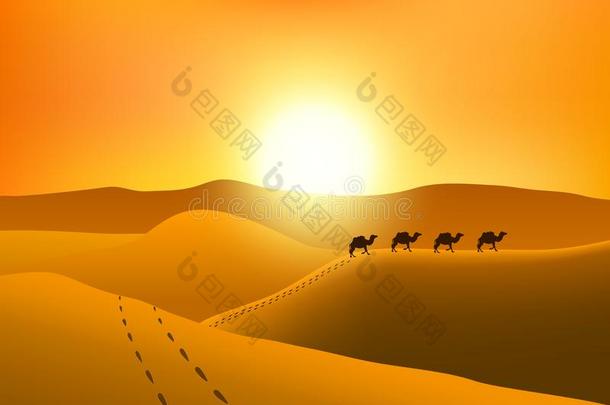 边疆地区居民浮筒轮廓采用指已提到的人沙漠在日落.