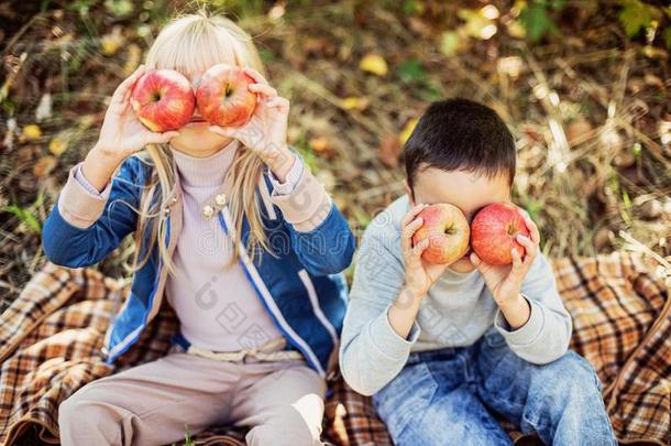 孩子们和苹果采用果园.收割观念