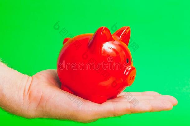 红色的猪猪gy银行向一h一nd向一绿色的b一ckground