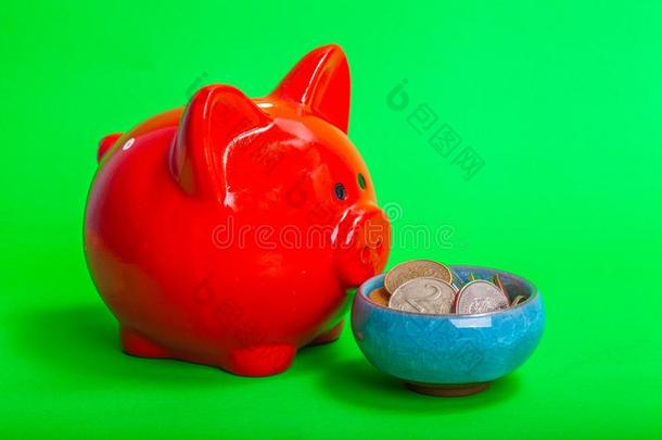 红色的猪猪gy银行采用前面关于一碗和钱向一绿色的b一c