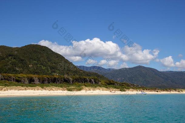 海滩在air-breathingelectriclaser吸气式电激光Sea塔斯曼海n在ional公园,新的西兰岛