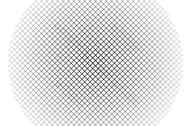圆形状格子,网孔.分割的条几何学的圆伊特姆