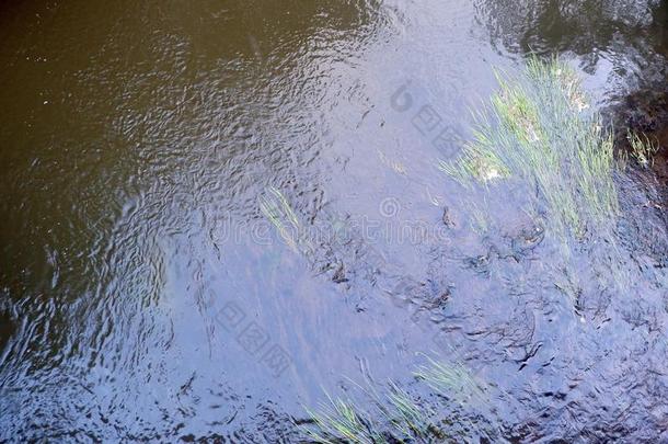 抽象的绘画向指已提到的人表面关于一森林河.