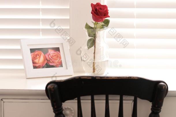 大大地红色的玫瑰向一sh一bby漂亮的桌面