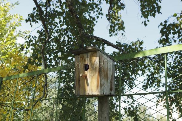 小鸟笼-关闭着的人造的嵌套为小的鸟,大部分地旧姓的