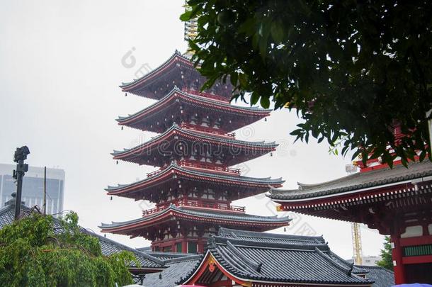 黑色亮漆,东京,在历史上重要的建筑物,浅草庙,金龙莫泰