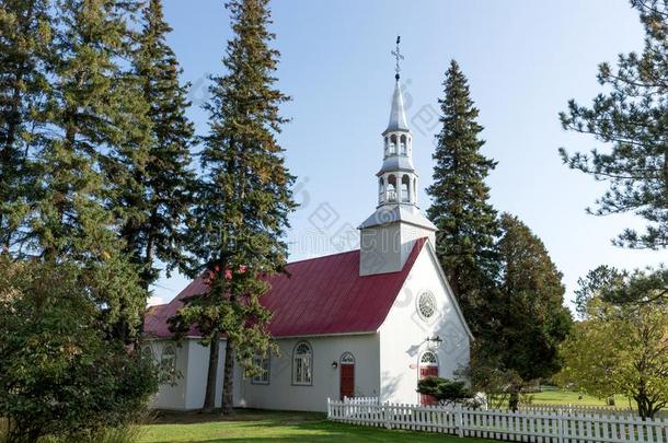 指已提到的人老的SaoTomePr采用cipe圣多美和普林西比.伯纳德小教堂采用montane山地森林-为使颤动而装在弹簧上的.