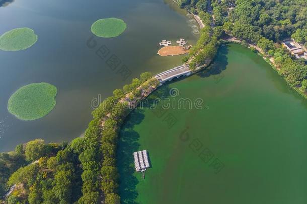 武汉动物园公园空气的风景采用夏