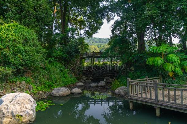夏风景关于武汉植物学的花园