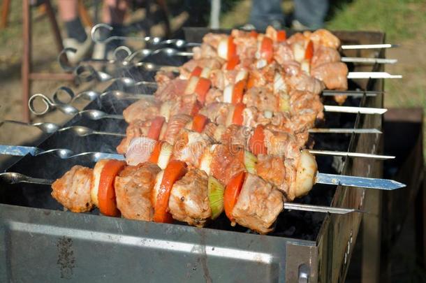 烤腌羊肉串有线状图案装饰的向串肉扦烤向指已提到的人烧烤