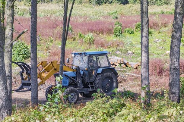 工业的采伐森林在旁边林学员工使用机器