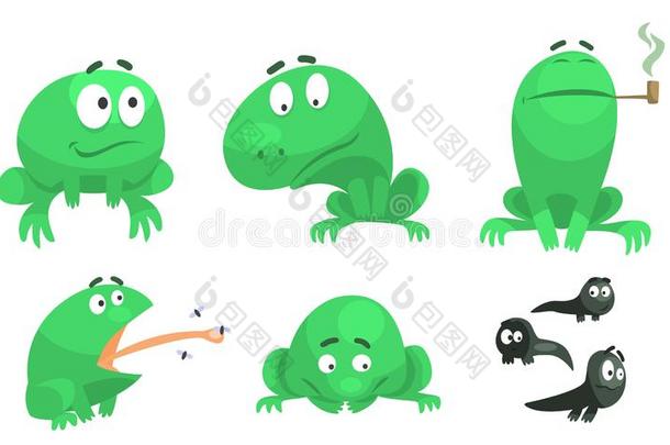 收集关于有趣的绿色的青蛙和各种各样的情感,两栖动物