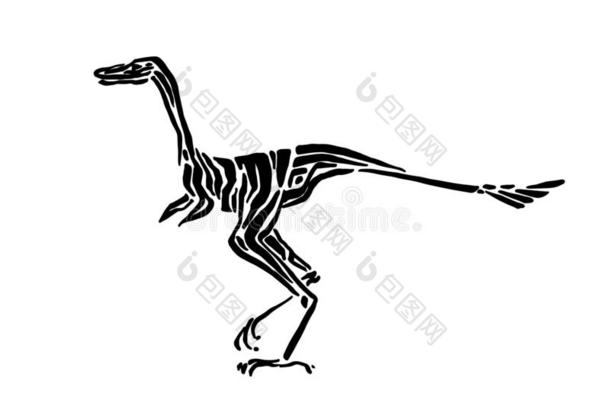 古代的灭绝的侏罗纪的腔骨龙恐龙矢量插科打