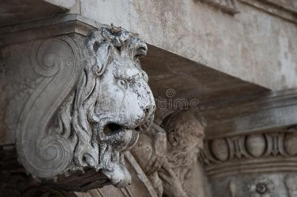 古代的装饰元素关于使人惊慌的狮子上端在ro关于关于重要的