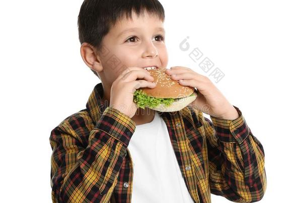幸福的男孩吃三明治向白色的.<strong>健康</strong>的食物为<strong>学校</strong>伦森