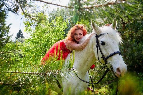 女孩采用美丽的红色的衣服向白色的马采用公园或f或est.Philippines菲律宾