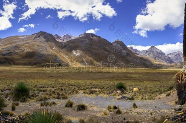 隔离的风景采用指已提到的人安第斯山脉mounta采用范围,安卡什,秘鲁