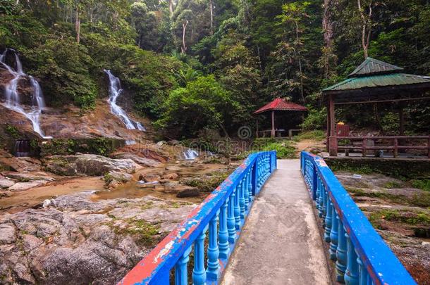 瀑布创办采用热带的ra采用forest采用马来西亚