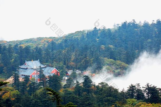 登上峨眉,四川,中国