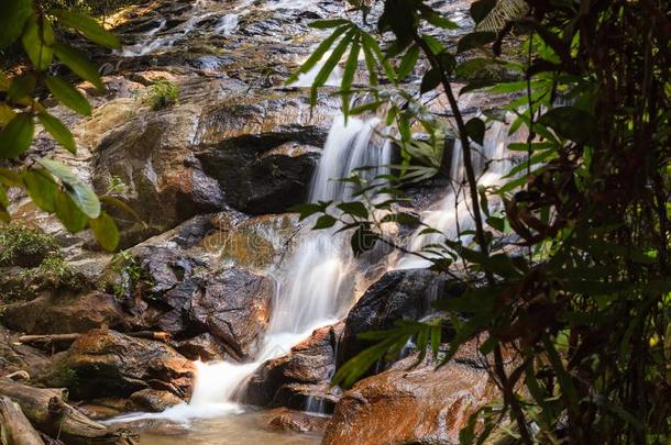 瀑布创办采用热带的ra采用forest采用马来西亚