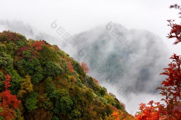 登上<strong>峨眉</strong>,四川,中国