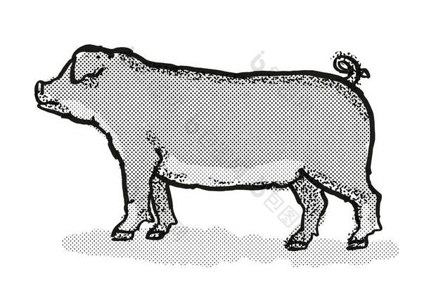 杜洛克猪猪产漫画制动火箭绘画