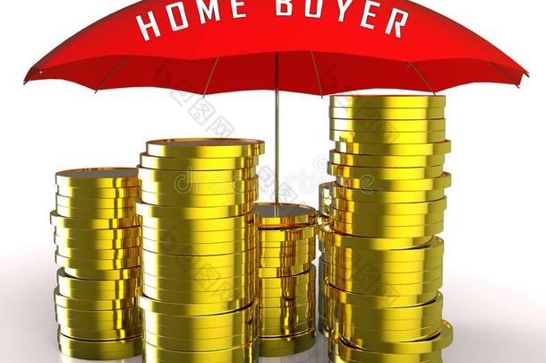 购房者coinsurance联合保险给加插图购买一家,一partment或房屋-