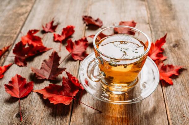 热的茶水采用玻璃杯子和大气的秋装饰