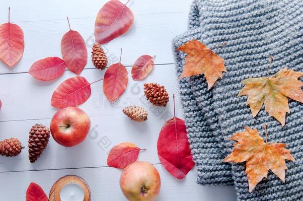 小的蜡烛,圆锥细胞,石榴,苹果,干的干燥的红色的树叶,灰色