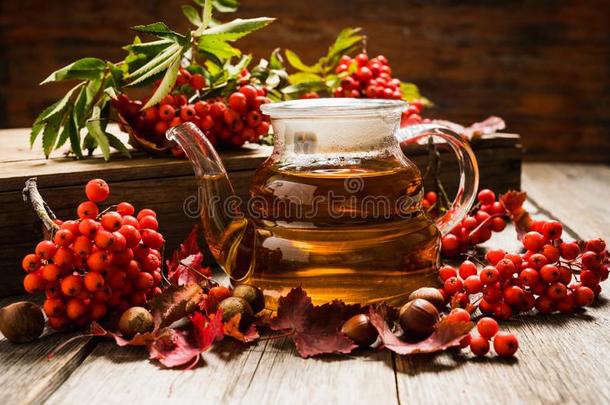 热的茶水采用玻璃茶水pot和大气的秋装饰